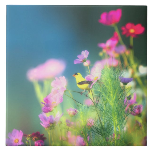 Azulejo Goldfinch y Coreopsis de Estados Unidos (Frente)