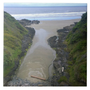 Azulejo Good Fortune Cove, Cape Perpetua, OR