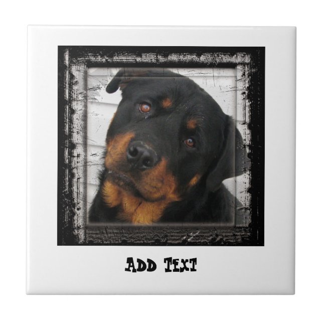 Azulejo Gorgoge Rottweiler Dog cara personalizada (Frente)