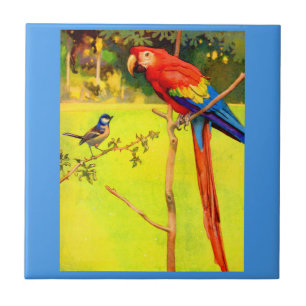 Azulejo gorrión y loro
