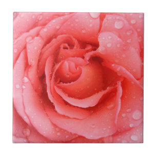 Azulejo Gotas de agua de rosa roja romántica