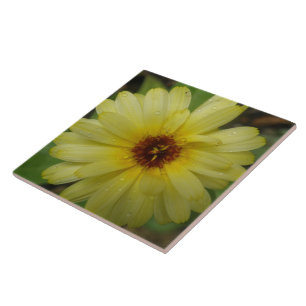 Azulejo Gotas de lluvia amarillas mosaico marino