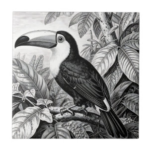 Azulejo Grabado de follaje de selva de tucanes