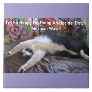 Azulejo Gracioso gato de Tuxedo haciendo un imán de ola me