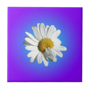Azulejo Gradiente azul morado de flor de margarita blanca