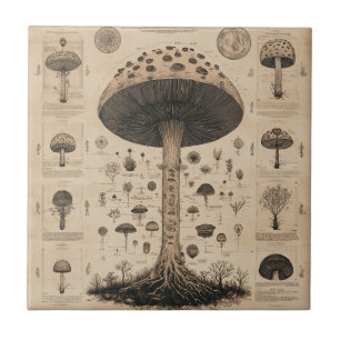 Azulejo Gráfico Botánico de Hongos Vintage (10)