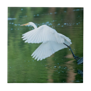 Azulejo Gran Egret Blanco