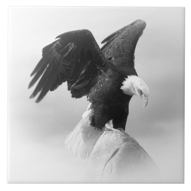 Azulejo Gran mosaico de fotos de cerámica (6" X 6") (Frente)