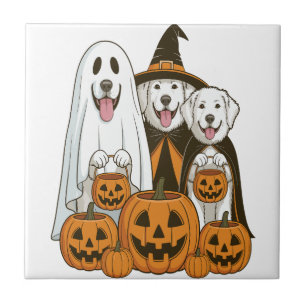 Azulejo Gran Perro Pirineos Fantasma Bruja Halloween Combi