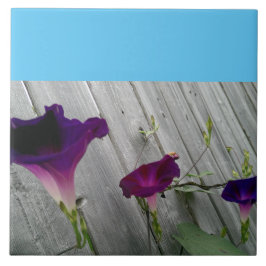 Azulejo Grande, decorativo