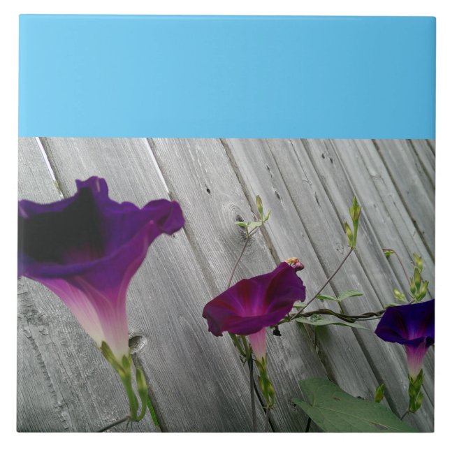 Azulejo Grande, decorativo (Frente)