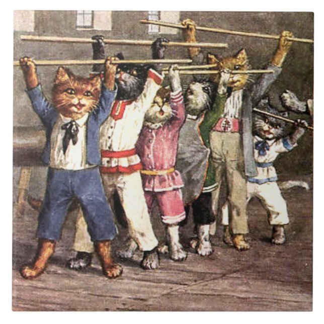 Azulejo ¡Grandes Nieves De Cerámica Que Ejercen Gatos Gati (Frente)