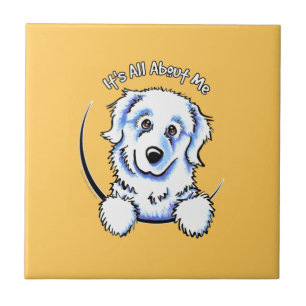 Azulejo Grandes Pirineos Todo gira en torno a mí