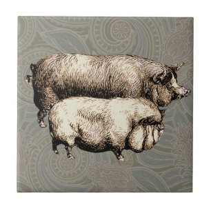 Azulejo Granja Antigüa Cerdo País Antigüedad Ganado