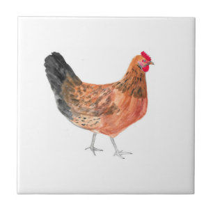 Azulejo Granja de animales de granja gallina gallina acuar
