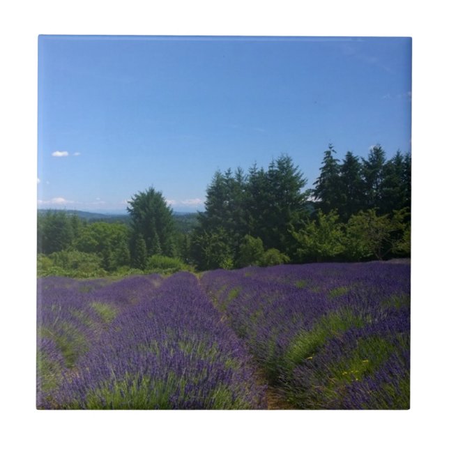 Azulejo Granja de lavanda (Frente)
