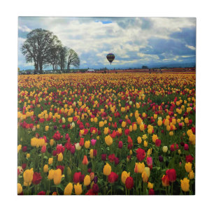 Azulejo Granja Tulip en Oregón
