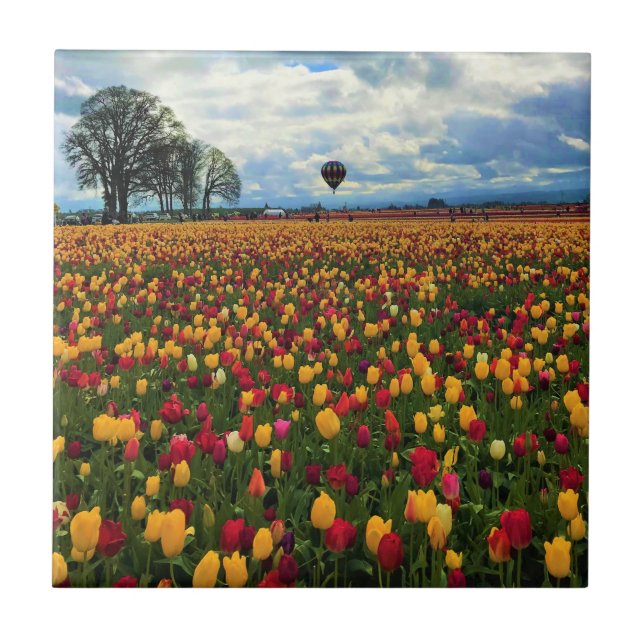 Azulejo Granja Tulip en Oregón (Frente)