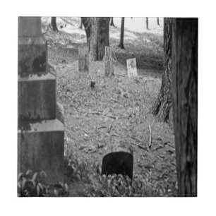 Azulejo Grave olvidada