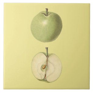 Azulejo Green Apple Botanical Tile ~ Kitchen ~ Cualquier c