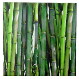 Azulejo Green Bamboo Stalks Nature Photography
