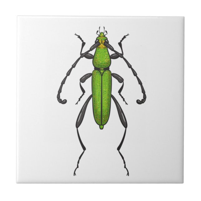 Azulejo Green beetle (Frente)