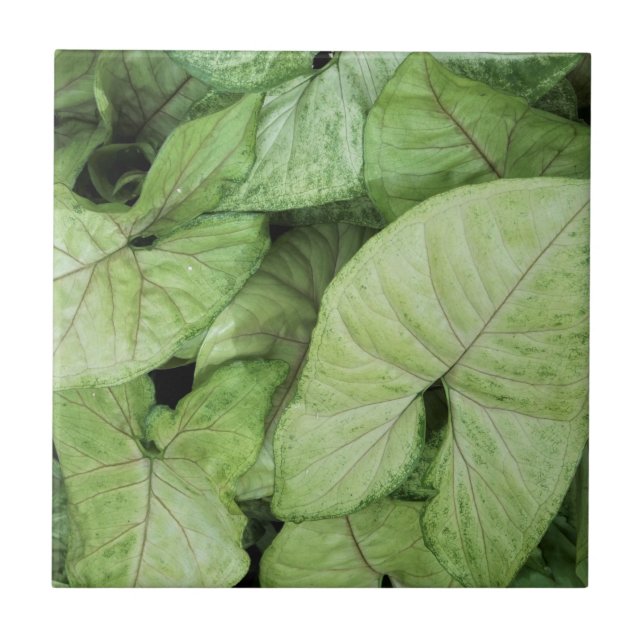 Azulejo Green Leaf Print (Frente)