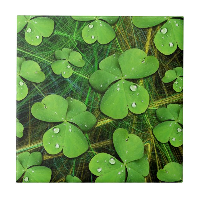 Azulejo Green Shamrock St Patrick's iPhone 5 Funda-Mate (Frente)