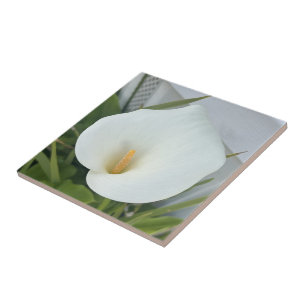 Azulejo Green Thumb Garden Planta White Calla Lily Flower
