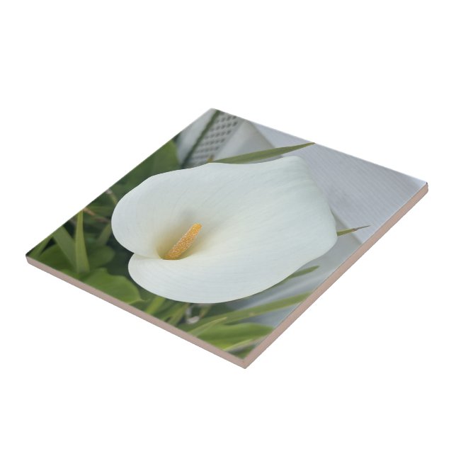 Azulejo Green Thumb Garden Planta White Calla Lily Flower (Lado)