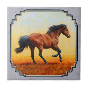 Azulejo Gris de pizarra para caballos de la Bahía de Rueda