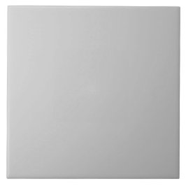 Azulejo Gris Piedra Moderno