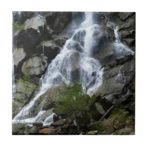 Azulejo Grizzly Falls, Parque Nacional del Cañón del Rey, 