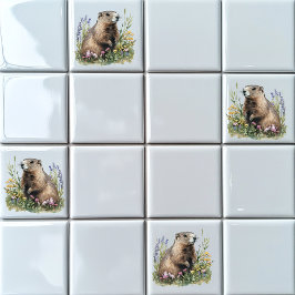 Azulejo Groundhog