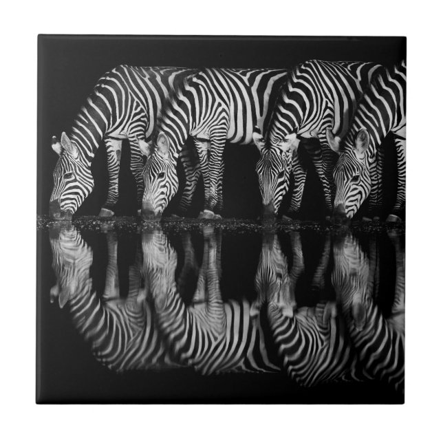 Azulejo Group of Plains Zebra Drink Together at Night (Frente)