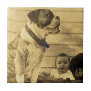 Azulejo Guarda el pitbull en los años 20