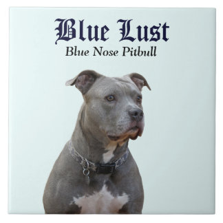 Azulejo Guardian Blue Lust Pitbull Ceramic Tile