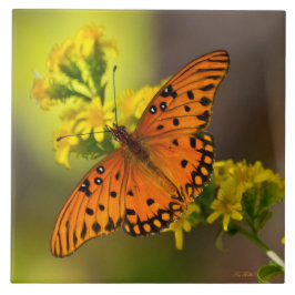 Azulejo Gulf Fritillary aka Passion Butterfly on Goldenrod