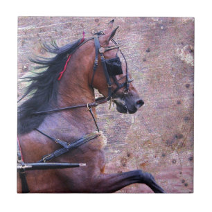 Azulejo Hackney Grunge