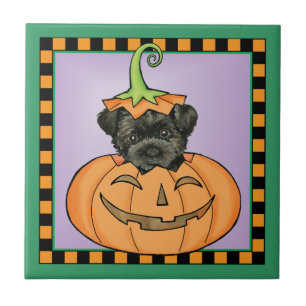 Azulejo Halloween Affenpinscher