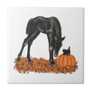 Azulejo Halloween Horse Colt Kitty