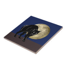 Halloween Prowling Black Cat En Una Noche De Luna 