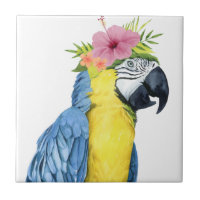 Halo tropical - loro