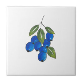 Azulejo Hand Drawn Blueberries