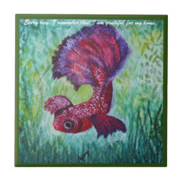 Azulejo Happy betta fish enjoying his home