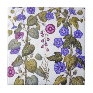 Azulejo Harebell y Convovulus
