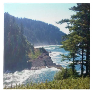 Azulejo Hart's Cove, Costa de Oregón