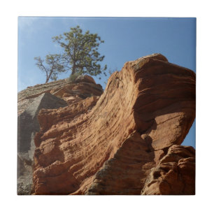 Azulejo Hasta Angels Landing en el Parque Nacional Zion