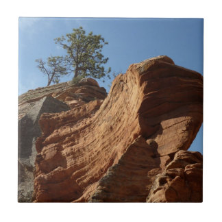 Azulejo Hasta Angels Landing en el Parque Nacional Zion