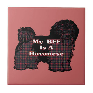AZULEJO HAVANESE BFF